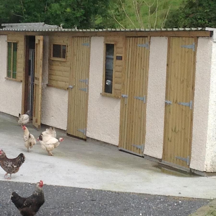 Vila The Little Cow Shed Swansea Exteriér fotografie